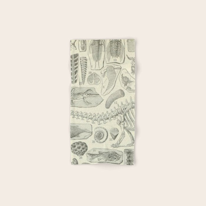 Fossil Chart Bath Towel Gallery Image 1