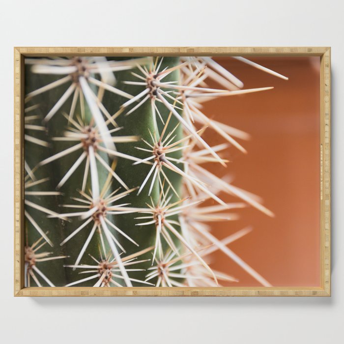Cactus pattern in Marrakech in the summer - Green, terra cotta mediterranean - Travel Photography Serving Tray Gallery Image 1