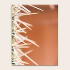 Cactus pattern in Marrakech in the summer - Green, terra cotta mediterranean - Travel Photography Notebook Gallery Image 4