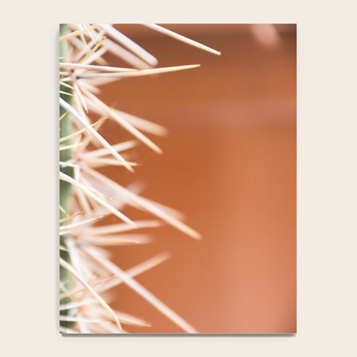 Cactus pattern in Marrakech in the summer - Green, terra cotta mediterranean - Travel Photography Notebook Gallery Image 4