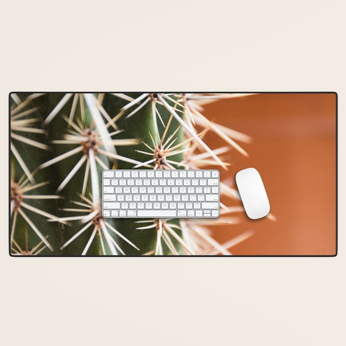 Cactus pattern in Marrakech in the summer - Green, terra cotta mediterranean - Travel Photography Desk Mat Gallery Image 1