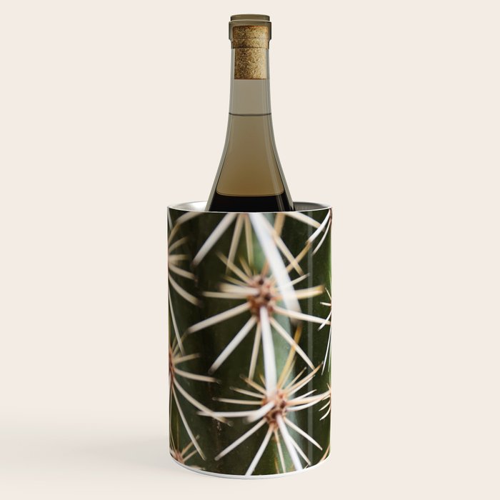 Cactus pattern in Marrakech in the summer - Green, terra cotta mediterranean - Travel Photography Wine Chiller Gallery Image 2