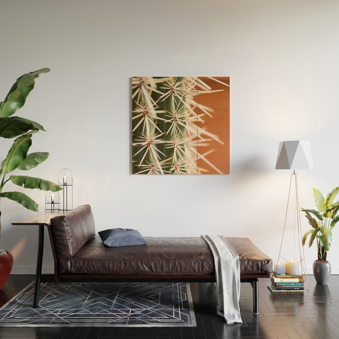 Cactus pattern in Marrakech in the summer - Green, terra cotta mediterranean - Travel Photography Wood Wall Art Gallery Image 2
