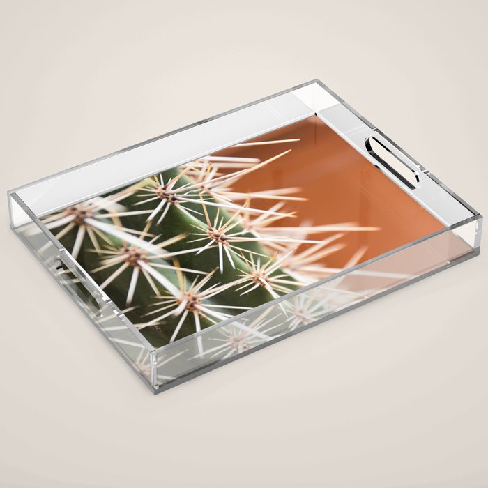Cactus pattern in Marrakech in the summer - Green, terra cotta mediterranean - Travel Photography Acrylic Tray Gallery Image 1