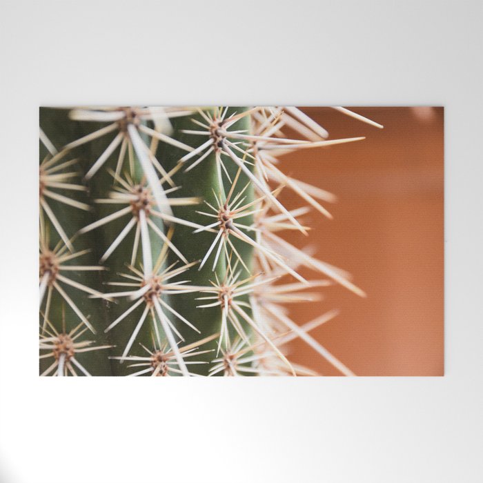 Cactus pattern in Marrakech in the summer - Green, terra cotta mediterranean - Travel Photography Welcome Mat Gallery Image 1