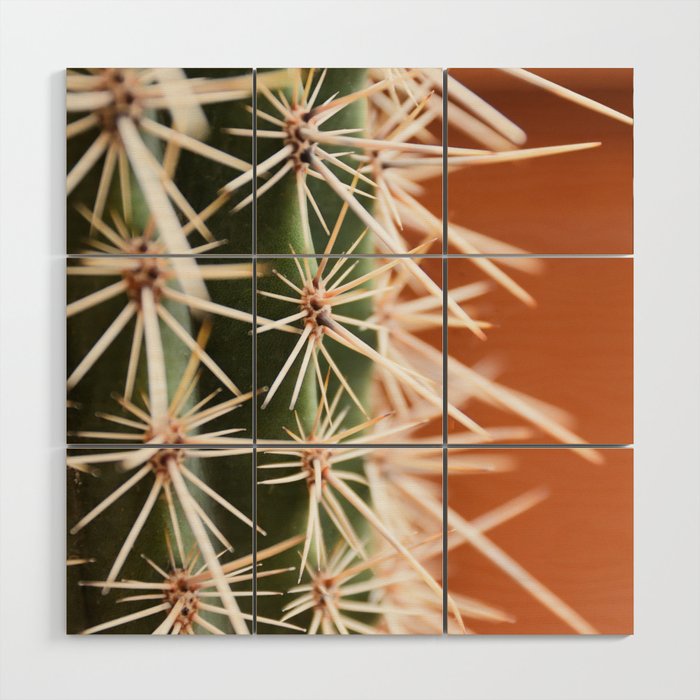 Cactus pattern in Marrakech in the summer - Green, terra cotta mediterranean - Travel Photography Wood Wall Art Gallery Image 1