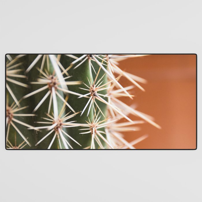 Cactus pattern in Marrakech in the summer - Green, terra cotta mediterranean - Travel Photography Desk Mat Gallery Image 3