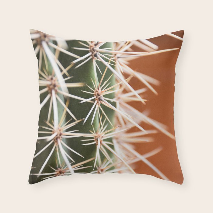 Cactus pattern in Marrakech in the summer - Green, terra cotta mediterranean - Travel Photography Throw Pillow Gallery Image 6