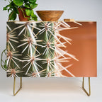 Cactus pattern in Marrakech in the summer - Green, terra cotta mediterranean - Travel Photography Credenza Gallery Image 1