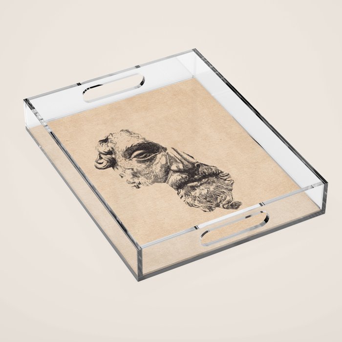 MARCUS AURELIUS ANTONINUS AUGUSTUS / Pencil Acrylic Tray Gallery Image 1