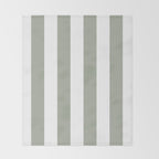 Desert Sage Grey Green Circus Tent Stripe Throw Blanket Gallery Image 2