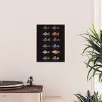 Pleco! Poster Gallery Image 2