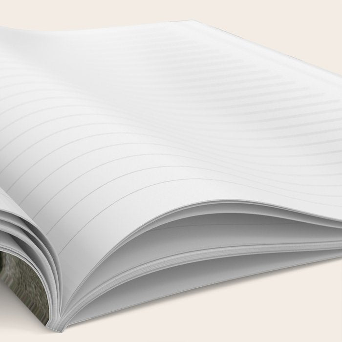 Cabinet of Dr Caligari film still Notebook Gallery Image 2