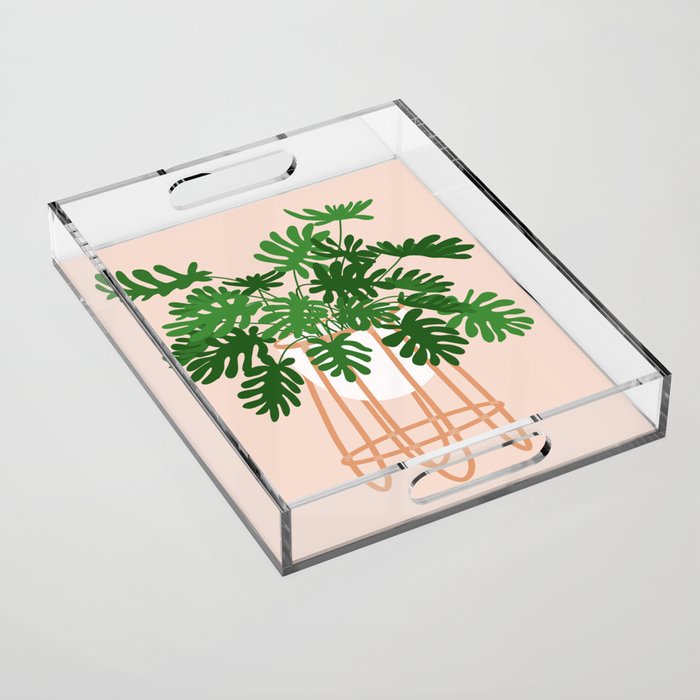 Vase no. 26 with Tropical Plant Acrylic Tray Gallery Image 1