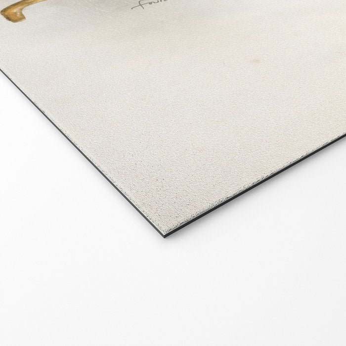 Blue Jay Bird Bath Clawfoot Tub Welcome Mat Gallery Image 2