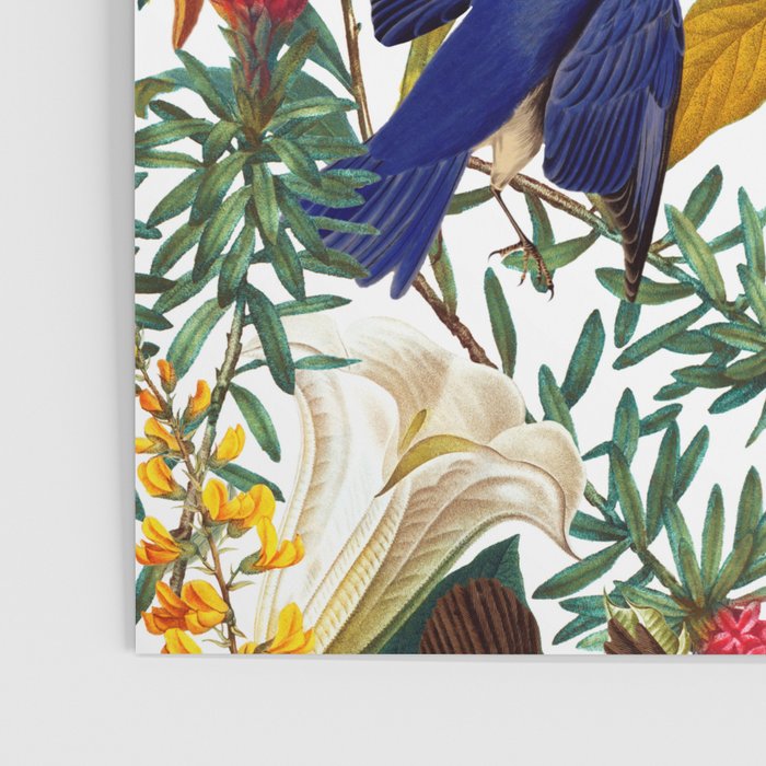 The Land of Birds II Poster Gallery Image 3