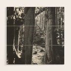 Forest Wonderland - Black and White Nature Photography Wood Wall Art Gallery Image 1