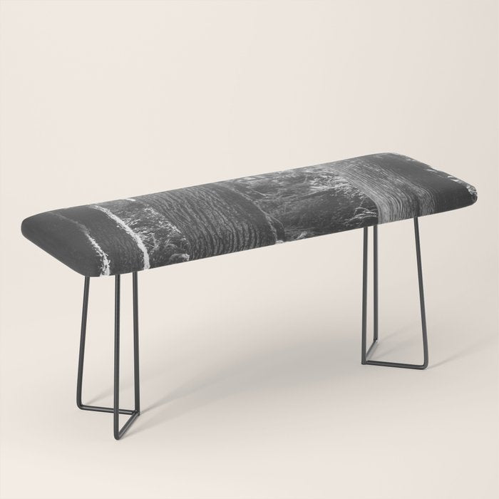 Forest Wonderland - Black and White Nature Photography Bench Gallery Image 1