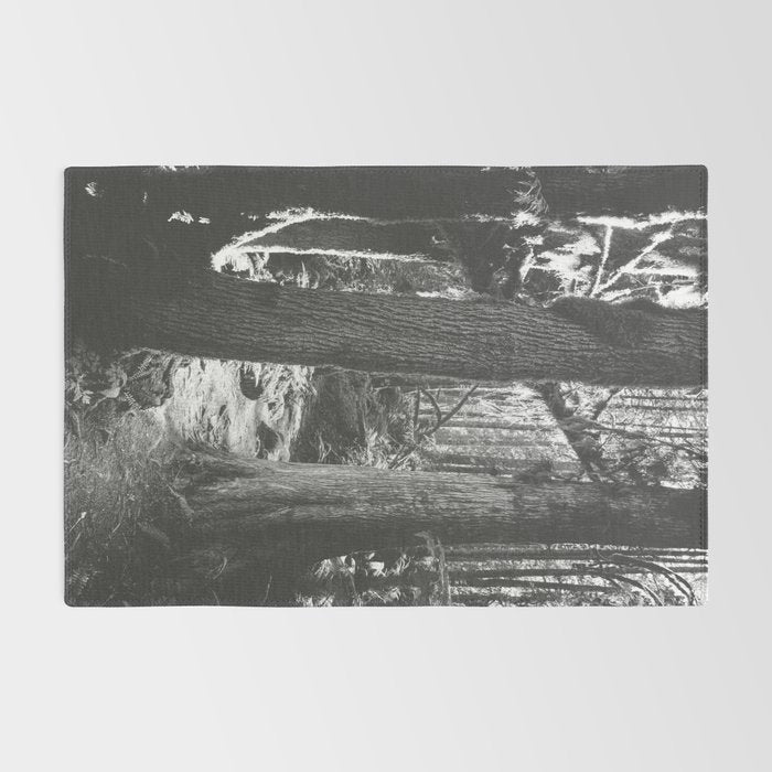 Forest Wonderland - Black and White Nature Photography Rug Gallery Image 2