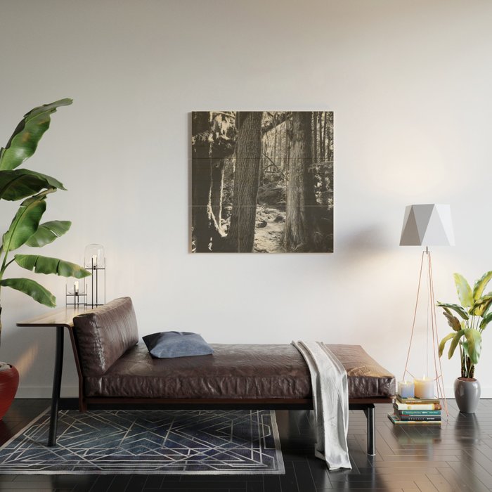 Forest Wonderland - Black and White Nature Photography Wood Wall Art Gallery Image 2