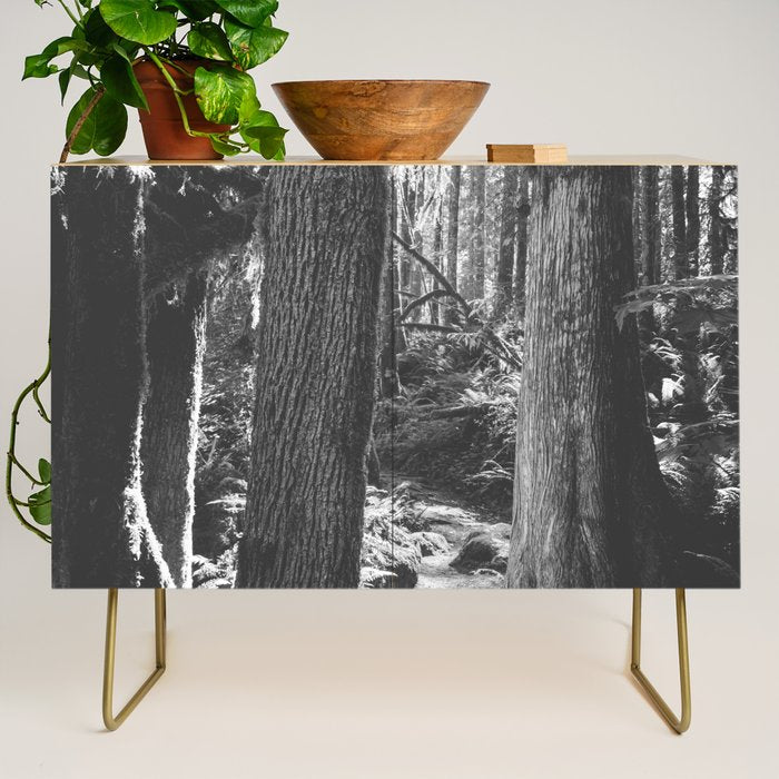 Forest Wonderland - Black and White Nature Photography Credenza Gallery Image 1