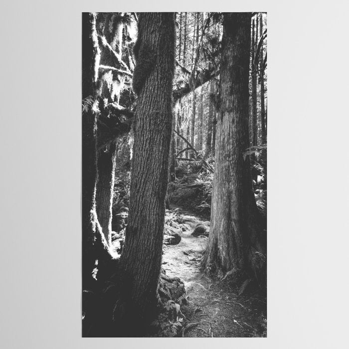 Forest Wonderland - Black and White Nature Photography Tablecloth Gallery Image 2