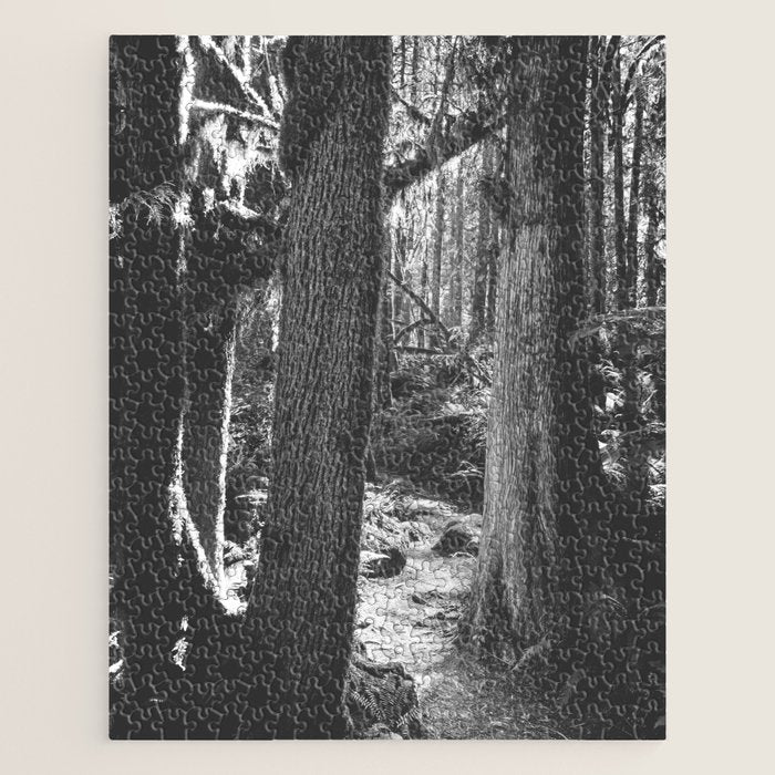 Forest Wonderland - Black and White Nature Photography Jigsaw Puzzle Gallery Image 1