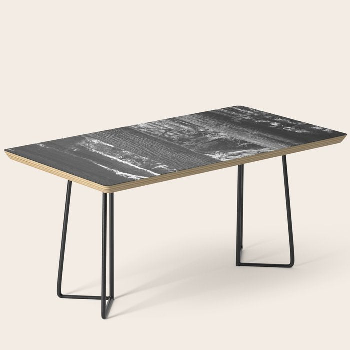 Forest Wonderland - Black and White Nature Photography Coffee Table Gallery Image 1
