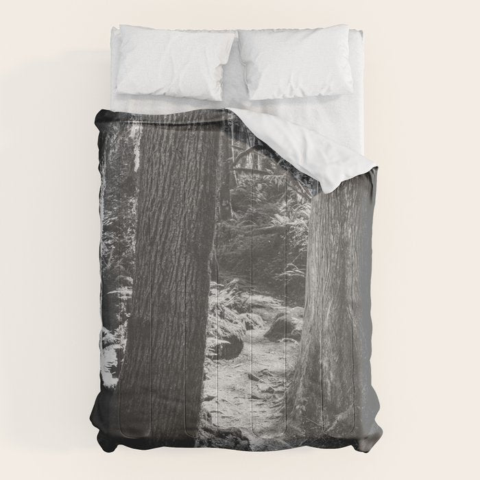 Forest Wonderland - Black and White Nature Photography Comforter Gallery Image 6