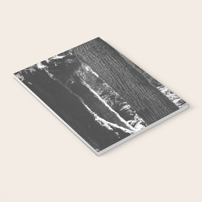 Forest Wonderland - Black and White Nature Photography Notebook Gallery Image 3
