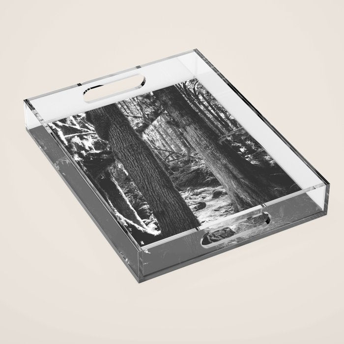 Forest Wonderland - Black and White Nature Photography Acrylic Tray Gallery Image 1