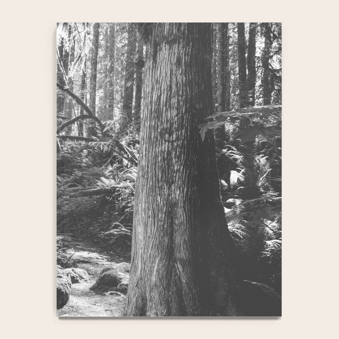 Forest Wonderland - Black and White Nature Photography Notebook Gallery Image 4