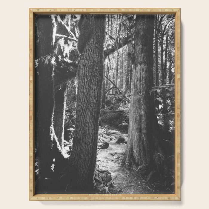 Forest Wonderland - Black and White Nature Photography Serving Tray Gallery Image 1