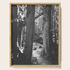 Forest Wonderland - Black and White Nature Photography Serving Tray Gallery Image 1
