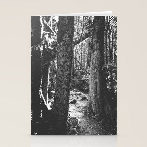Forest Wonderland - Black and White Nature Photography Stationery Card Gallery Image 2