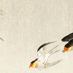 Swallows mid flight - Vintage Japanese Woodblock Print Art Coffee Mug Gallery Image 2
