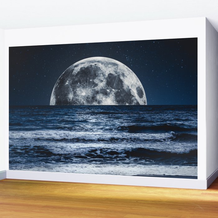 Summer Moonrise Wall Mural Gallery Image 2