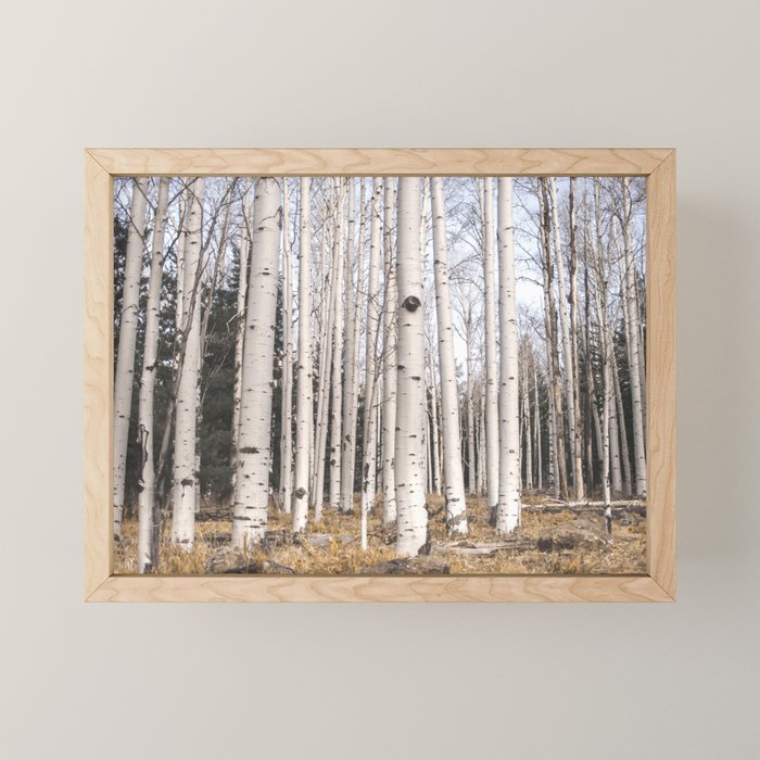 Tall Birch Forest Mini Art Print Gallery Image 1