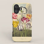 Tulips from "The Temple of Flora," 1812 (benefitting The Nature Conservancy) iPhone Case Gallery Image 1