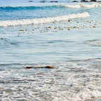 Summer Sea Coffee Mug Gallery Image 2