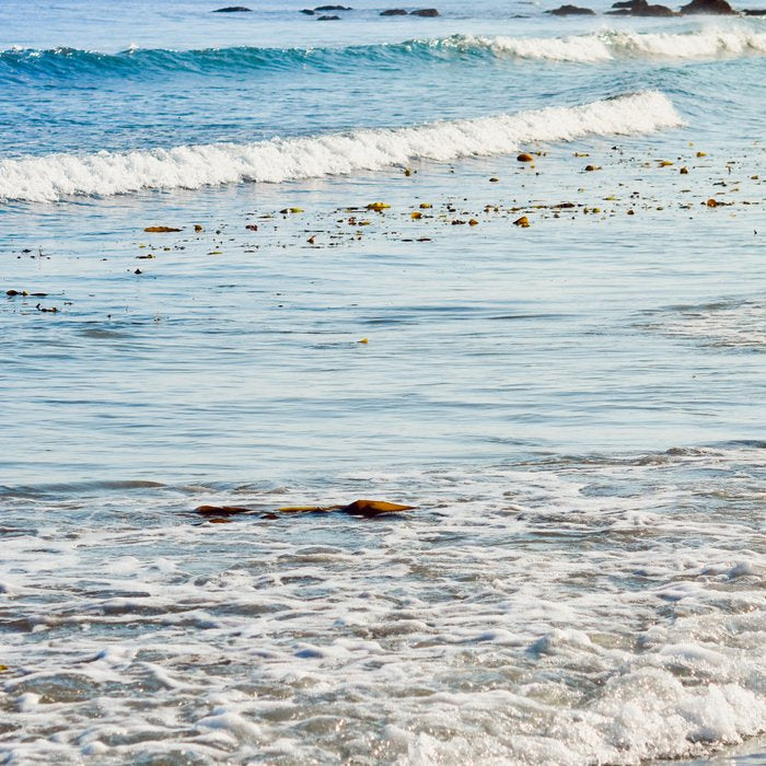 Summer Sea Coffee Mug Gallery Image 2