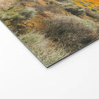 Road Less Traveled Welcome Mat Gallery Image 2