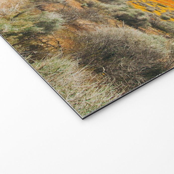 Road Less Traveled Welcome Mat Gallery Image 2