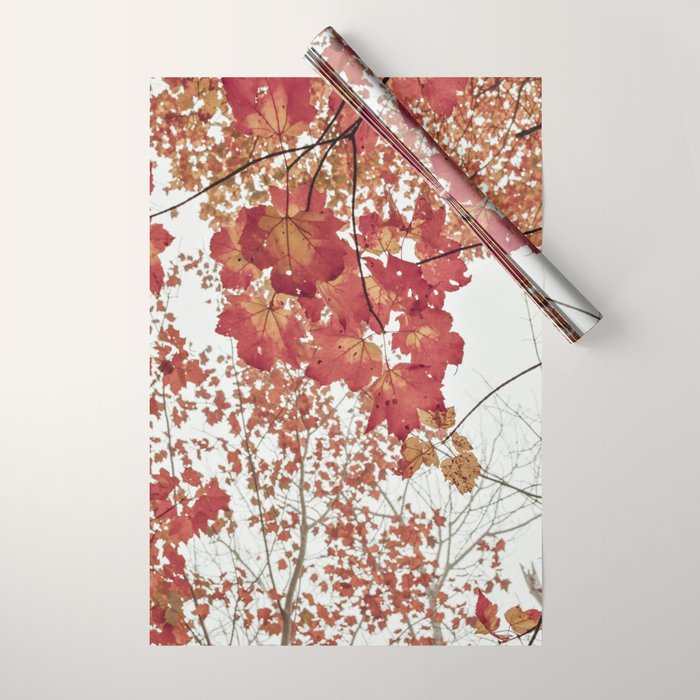 Scarlet x autumn maple tree nature abstract photograph Wrapping Paper Gallery Image 1