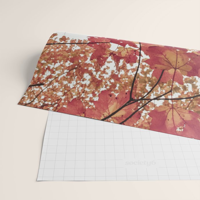 Scarlet x autumn maple tree nature abstract photograph Wrapping Paper Gallery Image 2