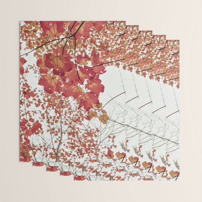Scarlet x autumn maple tree nature abstract photograph Wrapping Paper Gallery Image 3