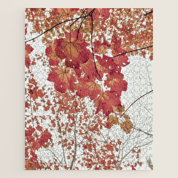 Scarlet x autumn maple tree nature abstract photograph Jigsaw Puzzle Gallery Image 1