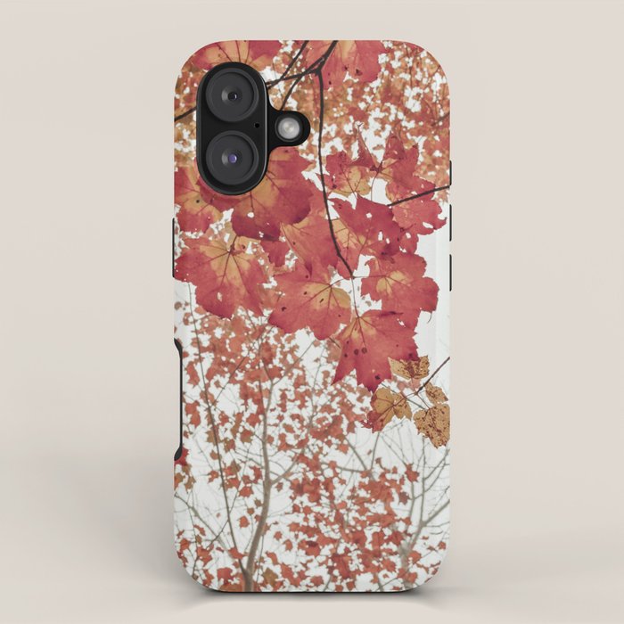 Scarlet x autumn maple tree nature abstract photograph iPhone Case Gallery Image 1