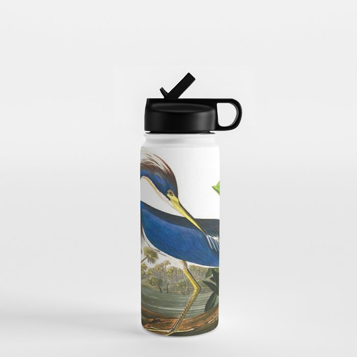 John James Audubon - Louisiana Heron Water Bottle Gallery Image 1