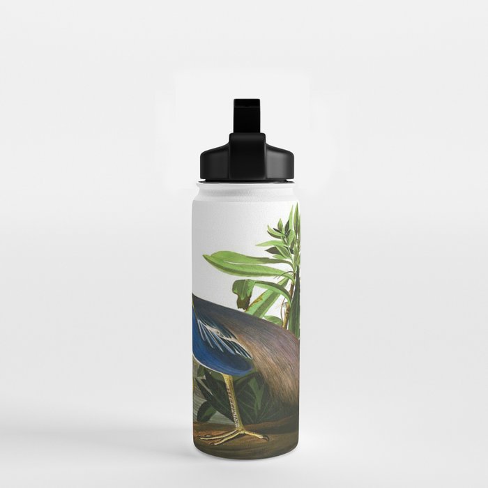 John James Audubon - Louisiana Heron Water Bottle Gallery Image 2